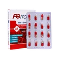 کپسول فرودین هولیستیکا 32 عددی | Ferrodin Capsule - Holistica