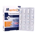 کپسول مگنیفورت هولیستیکا | Magniforte Capsule - Holistica