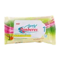 دستمال مرطوب پاک کننده دست و صورت پنبه ریز 12 عددی | Hand And Face Cleaners - Panberes