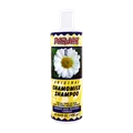 شامپو ویتامین ب5 و بابونه پرژک موهای نازک و کم حجم | Parjak Chamomile Shampoo