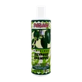 شامپو ویتامین ب5 و سدر پرژک مناسب موهای چرب و آسیب دیده | Parjak Zizyphus Shampoo 