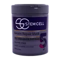 ماسک مو بدون سولفات موهای خشک و آسیب دیده 5 در 1 استم سل | 5 In 1 Keratin Repair Mask  For Dry And Damaged Hair - Stem Cell