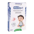 قرص جویدنی ول گات گام و گات کودک زیست تخمیر 30 عددی | Well Gut Gum And Gut - Zist Takhmir