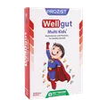 قرص جویدنی ول گات مولتی کیدز زیست تخمیر 30 عددی | Wellgut Multi Kids - Zist Takhmir
