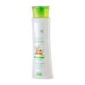 شامپو مورینگا و گریپ فروت موهای چرب سینره | Moringa and Grapefruit Shampoo for Oily Hair - Cinere