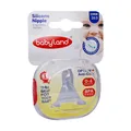 سر شیشه آنتی کولیک کودک بی بی لند کد ۲۶۳  | Anti Colic Silicone Nipple Code 263 - Baby Land
