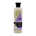شامپو سیر شون | Garlic Shampoo - schon 