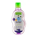 شامپو نرم کننده موی بچه اسطوخودوس بی بی لند  | Baby Shampoo Lavender Extract - Baby Land