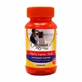 قرص آلفا لیپوئید اسید مگنوم ویتامینز 30 عددی | Magnum Vitamins Alpha Lipoic Acid 30 Tablets