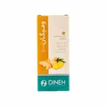 قرص روکش دار زنجبیل ومیگان 500 دینه 30 عددی | Vomigone 500 Ginger FC Tablet - Dineh