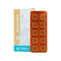 قرص گاسترودین دینه | Gastrodin Tablet - Dineh