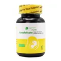 کپسول آهسته‌ رهش جنوفولیکیت پرفرمنس اج | Genofolicate Pellet Capsule - Performance Edge