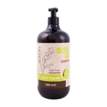 شامپو روغن زیتون شون | Olive Oil Shampoo - Shcon