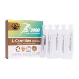 ویال ال کارنیتین 3000 مکس اونیو | L Carnitine Oral Solution 3000 mg - MAX AVENUE