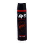 اسپری چسب مو فوق قوی کاسپین  | Caspian Mega Hold Hair GLUE