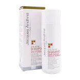 شامپو تقویت کننده موهای خشک استیل اکتیو ژاک آندرل | Stilactif Fortifying Care Shampoo for Dry to Normal Hair - Jacques Andhrel