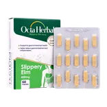 کپسول اسلیپری الم 400 اکتاهربال | Hydroderm Octa Herbal Slippery Elm 400 mg