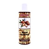 شامپو آرگان پرژک احیا کننده مو | Parjak Argan Shampoo