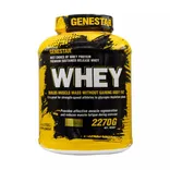 پودر پروتئین وی ژن استار 2270 گرم | Whey Protein Formula 2270 g - Genestar