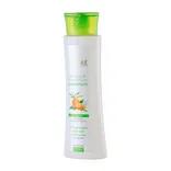 شامپو موهای چرب مورینگا و گریپ فروت سینره | Moringa and Grapefruit Shampoo for Oily Hair - Cinere