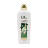 شامپو موهای چرب سوپر بالانس الارو | Super Balance Shampoo for Greasy Hair - Ellaro