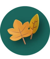 پاییزی