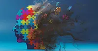 دود آتش‌سوزی‌های جنگلی؛ تهدیدی پنهان برای مغز و افزایش نگران کننده خطر زوال عقل