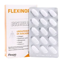 قرص فلکسی نورم فیشر فلکسان | Flexinorm Tablet - Fisher Flexan