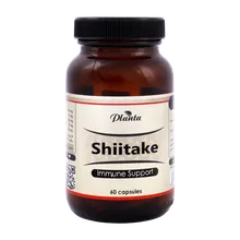 کپسول شیتاکه پلانتا | Planta Shiitake 60 Caps