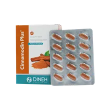 قرص سینامودین پلاس دینه | Dineh Cinnamodin Plus Tablet