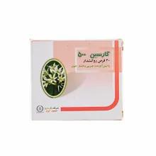 قرص گارسین 500 گل دارو | Garcin 500 Coated Tablet - Goldaru