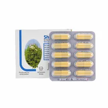 کپسول شیرافزا گل دارو 30 عددی | Shirafza Stimulator of Milk Production Capsule - Goldaru