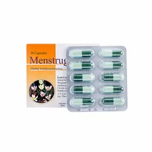 کپسول منستروگل گل دارو | Mestrugol Capsule - Goldaru
