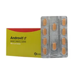 قرص آندروویت آقایان دارو درمان پارمیدا | Androvit Tablet for Men - Darou Darman Parmida