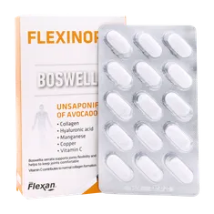 قرص فلکسی نورم فیشر فلکسان | Flexinorm Tablet - Fisher Flexan