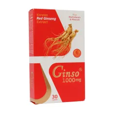 قرص جینسو ویت اسکای | Ginso Tablet - Vitsky