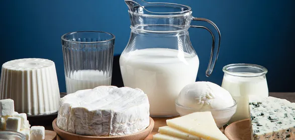 لیست کامل منابع طبیعی و غذاهای پروبیوتیک
