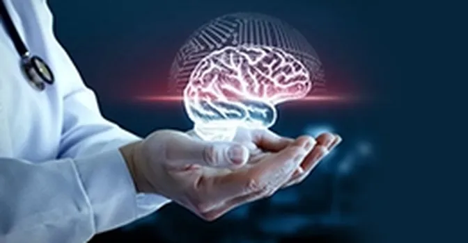 بهترین مکمل‌های تقویت‌کننده مغز و اعصاب