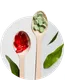 مکمل کمک درمانی گیاهی